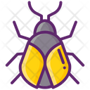 پیش‌نمایش فایل beetle-8051249 از پک جنگل