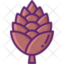 پیش‌نمایش فایل conifer-cone-8051259 از پک جنگل