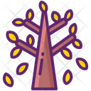 پیش‌نمایش فایل deciduous-tree-8051264 از پک جنگل