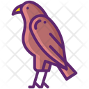 پیش‌نمایش فایل hawk-8051280 از پک جنگل