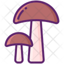 پیش‌نمایش فایل mushroom-8051294 از پک جنگل