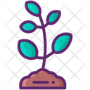 پیش‌نمایش فایل sapling-8051306 از پک جنگل