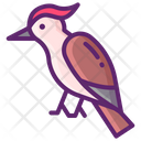 پیش‌نمایش فایل woodpecker-8051325 از پک جنگل