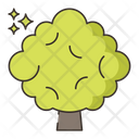 پیش‌نمایش فایل beech-8051332 از پک جنگل