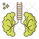 پیش‌نمایش فایل green-lungs-8051363 از پک جنگل