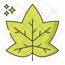 پیش‌نمایش فایل maple-leaf-8051373 از پک جنگل