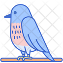 پیش‌نمایش فایل bluebird-8051421 از پک جنگل