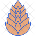 پیش‌نمایش فایل conifer-cone-8051428 از پک جنگل