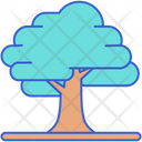 پیش‌نمایش فایل deciduous-tree-8051433 از پک جنگل