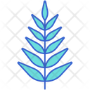 پیش‌نمایش فایل fern-8051438 از پک جنگل