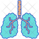 پیش‌نمایش فایل green-lungs-8051448 از پک جنگل