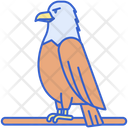 پیش‌نمایش فایل hawk-8051449 از پک جنگل