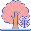 پیش‌نمایش فایل maple-leaf-8051458 از پک جنگل
