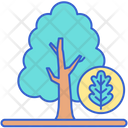 پیش‌نمایش فایل oak-8051464 از پک جنگل