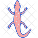 پیش‌نمایش فایل salamander-8051474 از پک جنگل