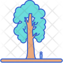 پیش‌نمایش فایل sequoia-8051477 از پک جنگل