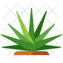 پیش‌نمایش فایل agave-8049089 از پک مکزیک
