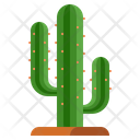 پیش‌نمایش فایل cactus-8049099 از پک مکزیک