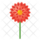 پیش‌نمایش فایل dahlia-8049109 از پک مکزیک