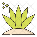 پیش‌نمایش فایل agave-8052178 از پک بیابان