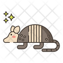 پیش‌نمایش فایل armadillo-8052180 از پک بیابان