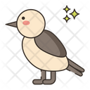 پیش‌نمایش فایل cactus-wren-8052182 از پک بیابان