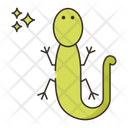 پیش‌نمایش فایل lizard-8052130 از پک بیابان