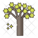 پیش‌نمایش فایل quiver-tree-8052151 از پک بیابان