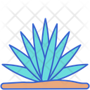 پیش‌نمایش فایل agave-8052272 از پک بیابان