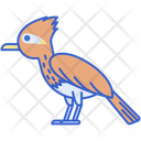 پیش‌نمایش فایل greater-roadrunner-8052212 از پک بیابان
