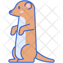 پیش‌نمایش فایل meerkat-8052227 از پک بیابان