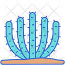 پیش‌نمایش فایل organ-pipe-cactus-8052237 از پک بیابان