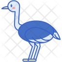 پیش‌نمایش فایل ostrich-8052238 از پک بیابان