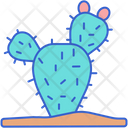 پیش‌نمایش فایل prickly-pear-cactus-8052241 از پک بیابان