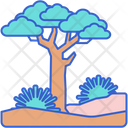 پیش‌نمایش فایل sparse-vegetation-8052258 از پک بیابان
