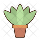 پیش‌نمایش فایل agave-8052362 از پک بیابان