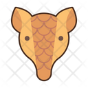 پیش‌نمایش فایل armadillo-8052364 از پک بیابان
