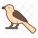 پیش‌نمایش فایل cactus-wren-8052276 از پک بیابان