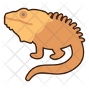 پیش‌نمایش فایل chameleon-8052281 از پک بیابان