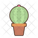 پیش‌نمایش فایل golden-barrel-cactus-8052301 از پک بیابان