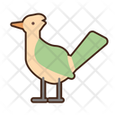 پیش‌نمایش فایل greater-roadrunner-8052302 از پک بیابان
