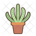 پیش‌نمایش فایل organ-pipe-cactus-8052327 از پک بیابان