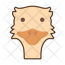 پیش‌نمایش فایل ostrich-8052328 از پک بیابان