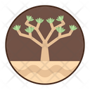 پیش‌نمایش فایل quiver-tree-8052334 از پک بیابان