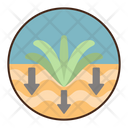پیش‌نمایش فایل sparse-vegetation-8052348 از پک بیابان