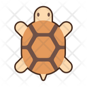 پیش‌نمایش فایل tortoise-8052354 از پک بیابان