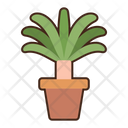 پیش‌نمایش فایل yucca-8052360 از پک بیابان