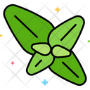 پیش‌نمایش فایل basil-8054037 از پک ایتالیا