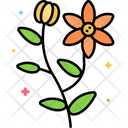 پیش‌نمایش فایل lily-8054073 از پک ایتالیا