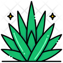 پیش‌نمایش فایل agave-8054188 از پک مکزیک